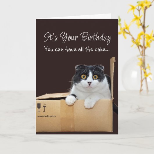 Happy Birthday Funny Cat カード (黄色い花)