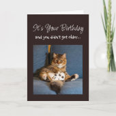 Happy Birthday Funny Playing Games Gamer Cat カード (正面)