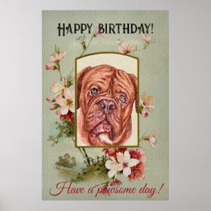 Happy Birthday Greetings French mastiff ポスター