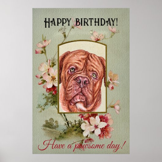 Happy Birthday Greetings French mastiff ポスター (正面)