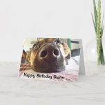 Happy Birthday Sister One I look up to! Cute Dog カード<br><div class="desc">Happy Birthday to the One I look up to! Cute Dog Sister will appreciate this card</div>