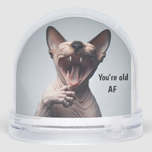 Happy Birthday Snow Globe (裏面)