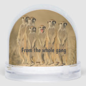 Happy Birthday Snow Globe (裏面)