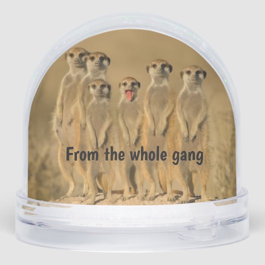 Happy Birthday Snow Globe (裏面)