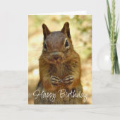 Happy Birthday Squirrel Looking for Cake カード (正面)