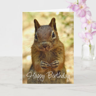 Happy Birthday Squirrel Looking for Cake カード