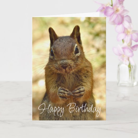 Happy Birthday Squirrel Looking for Cake カード (蘭)