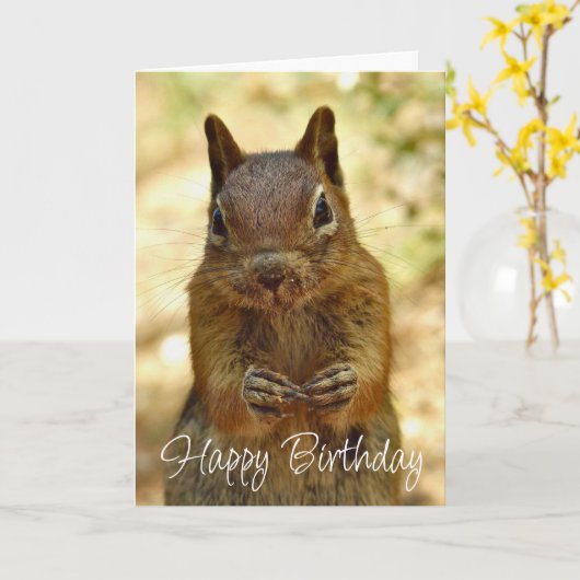 Happy Birthday Squirrel Looking for Cake カード (黄色い花)