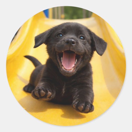 Happy Black Labrador Puppy Slides Down Yellow Slid ラウンドシール (正面)