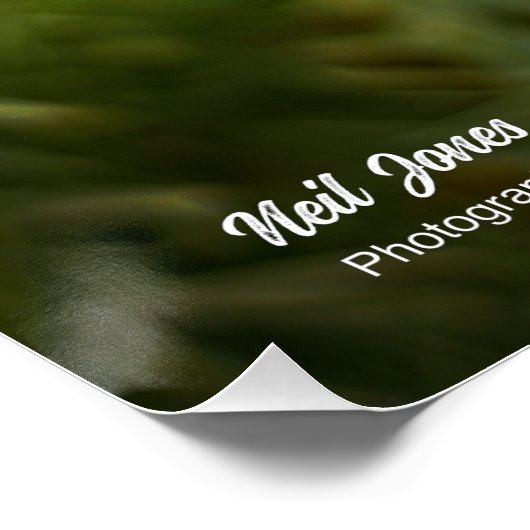 Happy Budha ポスター (コーナー)