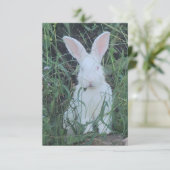 Happy Bunny サンキューカード (スタンド正面)