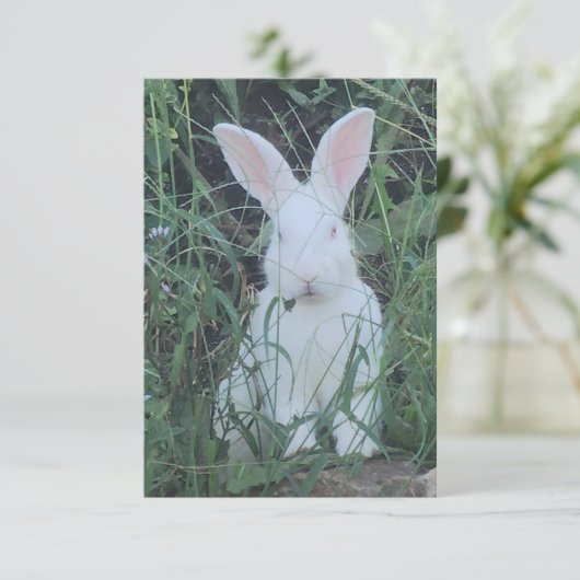 Happy Bunny サンキューカード (スタンド正面)