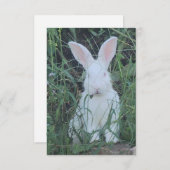 Happy Bunny サンキューカード (正面/裏面)