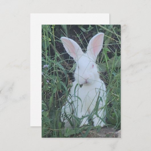 Happy Bunny サンキューカード (正面/裏面)