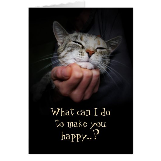 Happy Cat：どうしたら幸せになれる？ (正面)