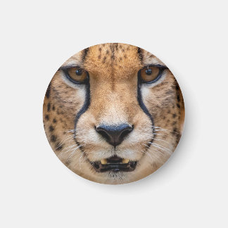 Happy Cheetah マグネット