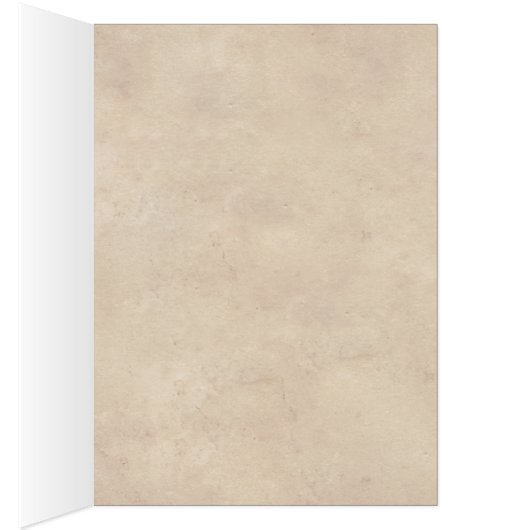 Happy Cinco de Mayo Cat with Mexican Hat (内側 (右))