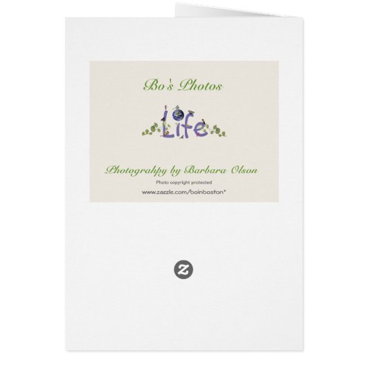 Happy Continuation Day：瞬間を満喫 (裏面)