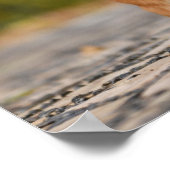 Happy Corgi Puppyスタンディングフォト ポスター (角)