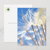 Happy, Dancing, Dandelion Poof, Stories in Nature ポストカード (正面/裏面)