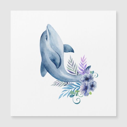 Happy Dolphin Design Collection   (正面)