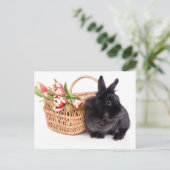 Happy Easter シーズンポストカード (スタンド正面)