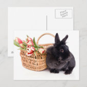 Happy Easter シーズンポストカード (正面/裏面)