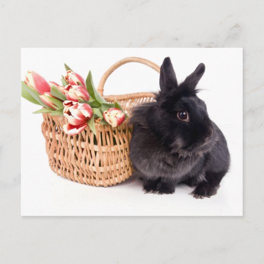 Happy Easter シーズンポストカード (正面)