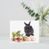 Happy Easter シーズンポストカード (スタンド正面)