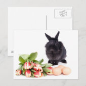 Happy Easter シーズンポストカード (正面/裏面)