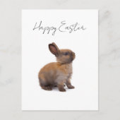 Happy Easter ポストカード (正面)