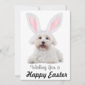 Happy Easter Anyone Dog Bunny Flat Holiday Card シーズンカード (正面)