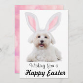 Happy Easter Anyone Dog Bunny Flat Holiday Card シーズンカード (正面/裏面)