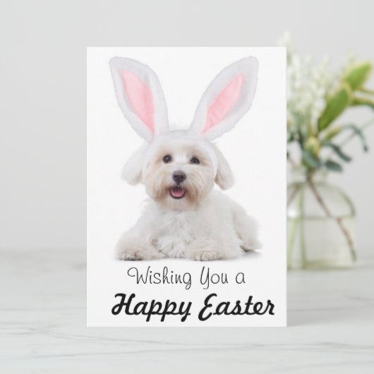 Happy Easter Anyone Dog Bunny Flat Holiday Card シーズンカード (スタンド正面)