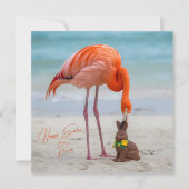 Happy Easter from Florida Flamingo on Beach シーズンカード (正面)