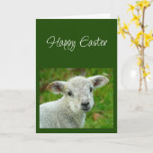 Happy Easter wishes with Lamb of God カード (黄色い花)