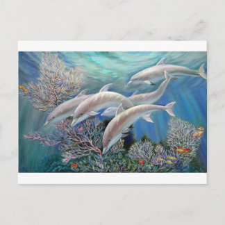 Happy_Family_-_Dolphins_Are_Awesome.JPG ポストカード