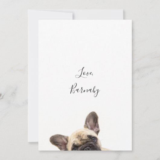 Happy Faters Day Dogの写真 シーズンカード (裏面)