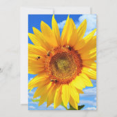 Happy Father's Day Cardひまわりとハチ カード (裏面)