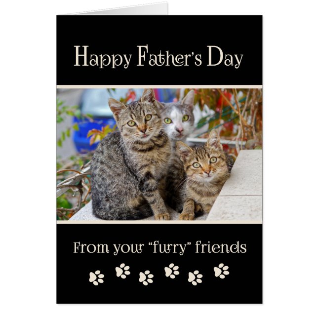 Happy Father's Day from Cats – 写真 (正面)
