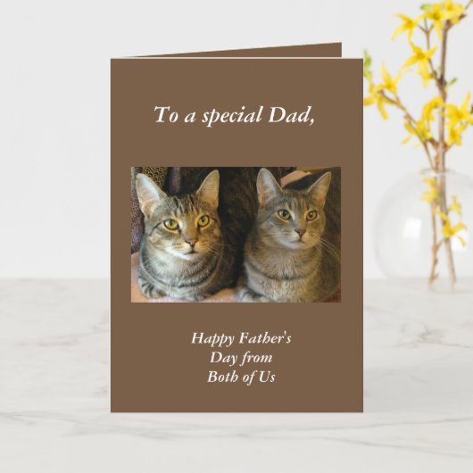 Happy Father's Day Tabby Cats Greeting Card カード (黄色い花)