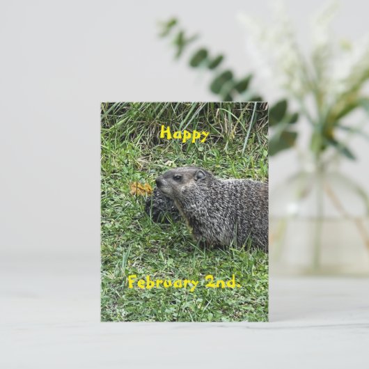 Happy February 2nd Custom Groundhog Postcards ポストカード (スタンド正面)