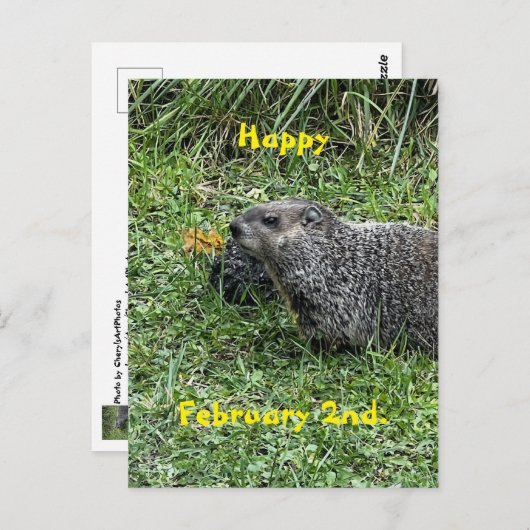 Happy February 2nd Custom Groundhog Postcards ポストカード (正面/裏面)