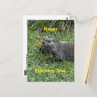 Happy February 2nd Custom Groundhog Postcards ポストカード