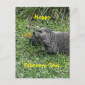 Happy February 2nd Custom Groundhog Postcards ポストカード (正面)