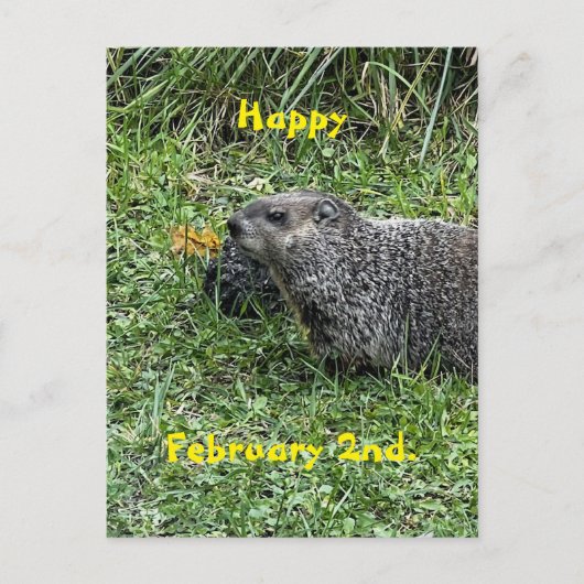 Happy February 2nd Custom Groundhog Postcards ポストカード (正面)
