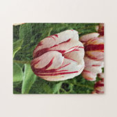 Happy Generation Tulip，オレゴン ジグソーパズル (横)