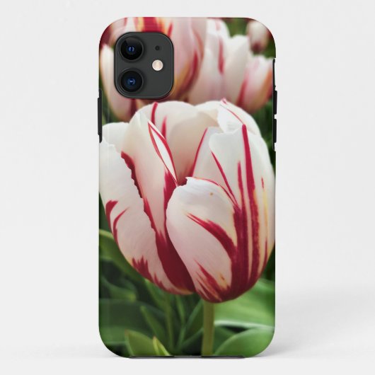 Happy Generation Tulip,オレゴン Case-Mate iPhoneケース (裏面)