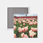 Happy Generation Tulip Field(オレゴン) マグネット (正面/裏面)