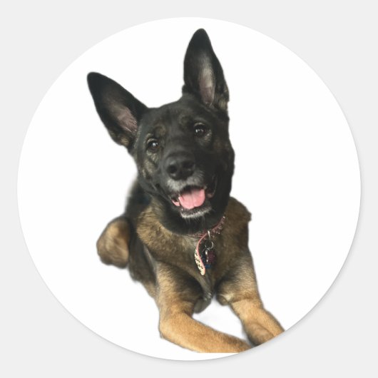 Happy German Shepard style dog sticker ラウンドシール (正面)